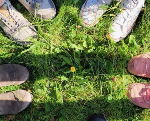 Das Foto zeigt den Blick vom Betrachter auf eine grüne Sommerwiese. Zu sehen sind nur die Schuhe von fünf Personen, mindestens drei davon sind junge Menschen, was man an den Schuhen erkennen könnte. Die Sonne scheint und in der Mitte des Kreises, den die fünf Menschen bilden, wächst eine kleine gelbe Blume auf der Wiese.